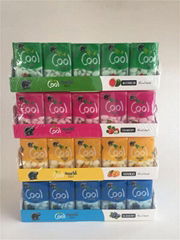 Assorted Fruit Flavor Hard Tablet Fresh Cool Air Paper Mint Candy