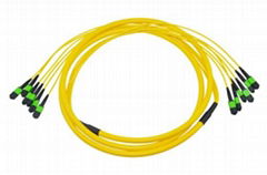 MTP/MPO TRUNK CABLE ASSEMBLIES