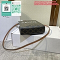 2025 Celine Bag Cabas Triomphe Small Canvas Vertical Handbag Celine Triomphe