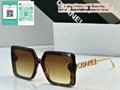 CC sunglasses CC eyeglass CC eyewear CC