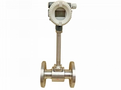 Vortex Flow Meter