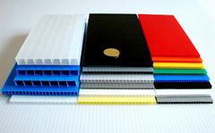 Coroplast board pp corrugated plastic