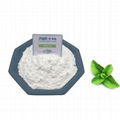 Top quality cooling agent WS-3 for food industry 5