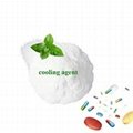 Top quality cooling agent WS-3 for medical industry 1