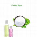 Top quality cooling agent WS-5 for