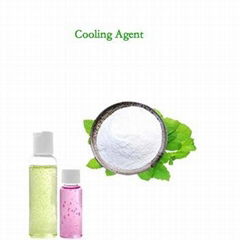 Top quality cooling agent WS-5 for cosmetics  industry