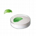 Top quality cooling agent WS-5 for cosmetics  industry 2
