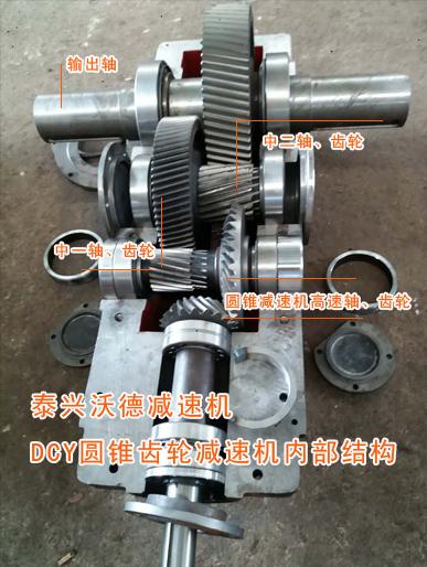 DCY250-20-IINGear reducer 2