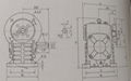 WPDS250-60蝸杆減速機 2