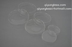 Borosilicate Glass Petri Dish