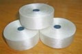 Fiber Glass Tape 1