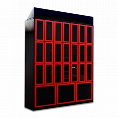 Wine Storage Solution 24 doors Digital Locker