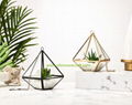 New product home decoration indoor plant reptile glass vase terrarium 3