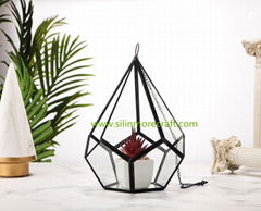 Hanging glass terrarium