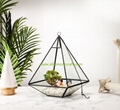 Triangular plant terrarium glass gifts crafts