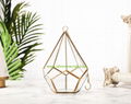 Geometry glass terrarium