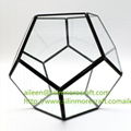  gold air plant glass geometric terrarium 3