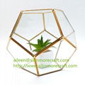  gold air plant glass geometric terrarium 1