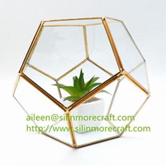 gold air plant glass geometric terrarium