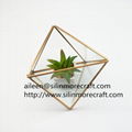 wholesale home decoration Copper Gold Glass Cube Small Geometric Terrarium Plant 3