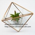wholesale home decoration Copper Gold Glass Cube Small Geometric Terrarium Plant 1