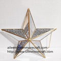 China manufacturer hanging star glass plant terrarium  2