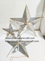 China manufacturer hanging star glass plant terrarium  3