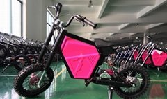 Electric Bicycle BXD500