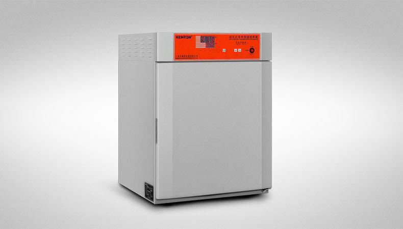 China Manufacturer of 303 Small Microbial Culture Box Laboratory Equipment 4