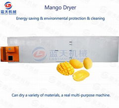 Mango Dryer