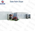 Date Palm Dryer