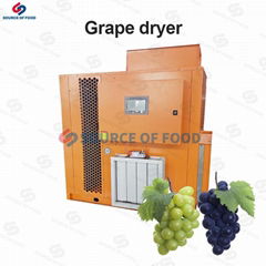 Grape Dryer