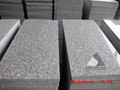 Red pink rosa granite tile