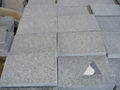 Grey granite paving stone salt and pepper