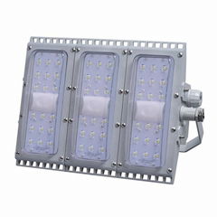 BAT101 Explosion Proof Energy-Efficient & Maintenance Free Led Floodlight