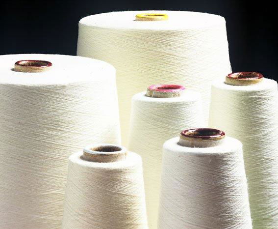 100% Cotton Ring Spun for Weaving Yarn ne 32/1 3