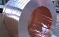 Copper-Steel Clad Sheet 1