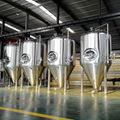 Sale 50L Home Brewing Equipment For Beer brewery 1