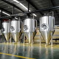 Hotel,Bar,Pub SS Craft Beer Brewing Equipment 3