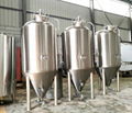 Hotel,Bar,Pub SS Craft Beer Brewing Equipment 4