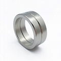 Super Strong Ring Shape Neodymium Rare