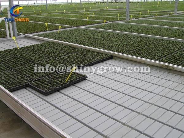 Ebb and Flow Benches for Greenhouse Hydroponic Cultivation