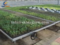 Greenhouse Rolling Benches for Efficient