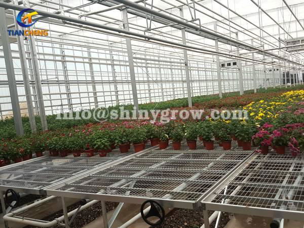 Greenhouse Rolling Benches for Efficient Greenhouse Operation 2
