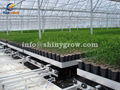 Shuttle Rolling Bench System – Greenhouse Automation Solution 1