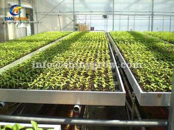 Stationary Metal Greenhouse Benches for Commercial Nursery