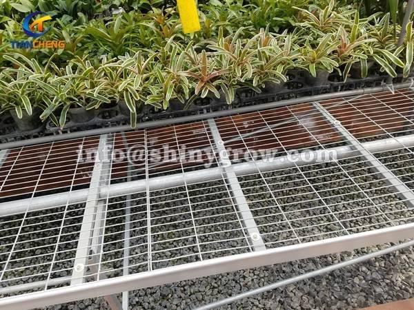 Stationary Metal Greenhouse Benches for Commercial Nursery 3