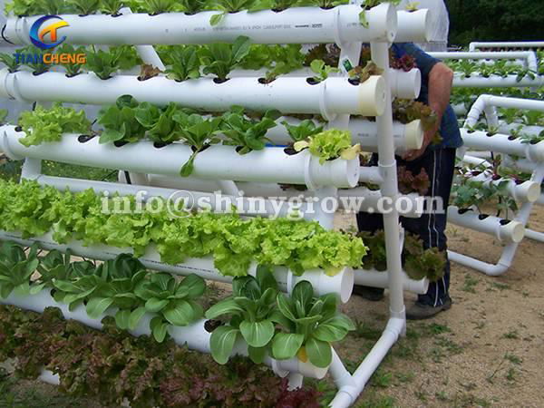 NFT Hydroponic Gardening System for Strawberry &amp; Lettuce Growing 4