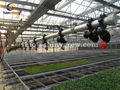 Greenhouse Sprinkler – Overhead Watering System for Greenhouse 1