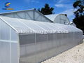 Greenhouse Insect Screen for High Planting Percent &amp; Seedling Quality 1